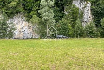 Teren de 4500 mp, în Dâmbovicioara - 15