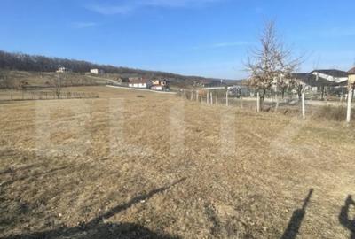 Teren de 742 mp, în Unirea - 1