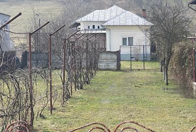 Casă individuală cu 3 camere cu Teren 3200 Mp în Dobrogostea - 1