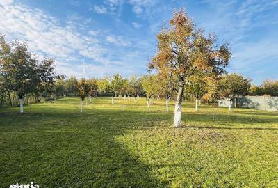 Casă cu 3 camere cu Teren 1994 Mp în Central - 9