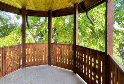 Complex de 3 case pe 18000 mp teren - 34