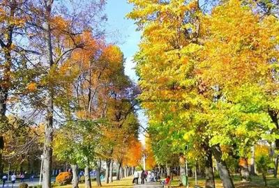 Serban Voda - Carol - Tineretului - 2 camere cu terasa - 2