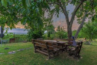 De vanzare vila Cornetu, pentru gospodarul din tine. - 17