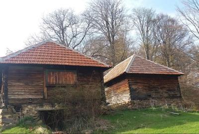 Spațiu comercial, în Pui - 1