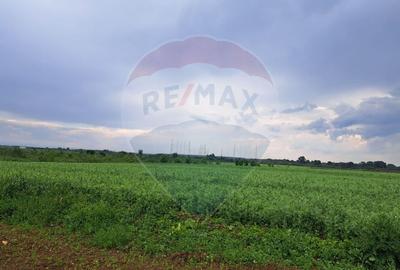 Teren Construcții intravilan de 15000 mp, în Ciolpani - 3