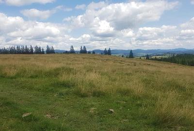 Teren de 160000 mp, în Breaza - 3