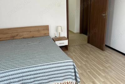 Apartament 2 camere Fratii Golesti - 6