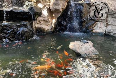 Studio | Herastrau North Lake - 7