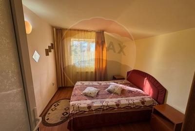 Casa / Vila cu 5 camere de inchiriat in zona Calea Romanului Casa / Vila cu 5 camere de inchiriat in zona Calea Romanului - 20