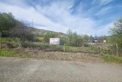 Teren Construcții intravilan de 1000 mp, în Calea Romanului - 5