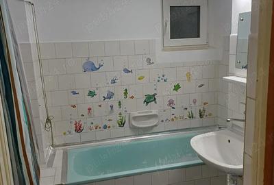 Ap 1 cam spatios cu termoteca Vlaicu Fortuna pe Principala - 5