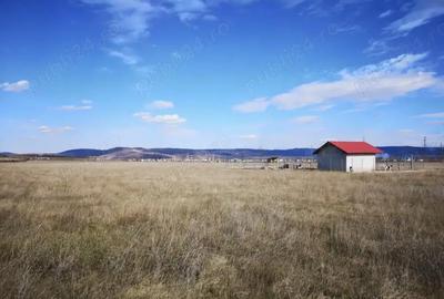 Teren de 570 mp, în Mărăcineanu - 7