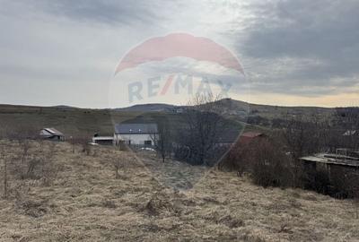 Teren Construcții intravilan de 2307 mp, în Sălicea - 8