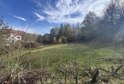 Teren de 13167 mp, în Bughea de Sus - 17