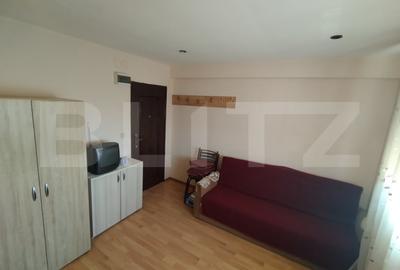 Garsonieră semidecomandată, mobilată în Calea Severinului - 1