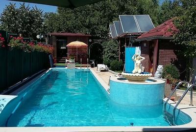 Casa Marta Bibescu pe malul lacului cu piscina - 2