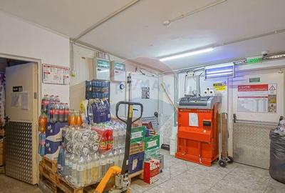 Spațiu comercial, de 248 mp, în Scriitorilor - 18