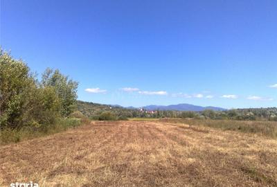 Teren de 5500 mp, în Săcălășeni