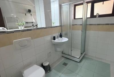 Garsonieră decomandată în Brestei - 9