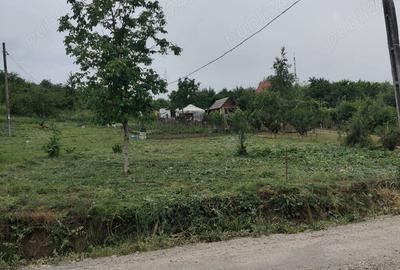 Teren de 14251 mp, în Podgoria - 2