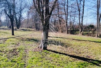 Casă cu 2 camere cu Teren 2000 Mp în Laz - 15