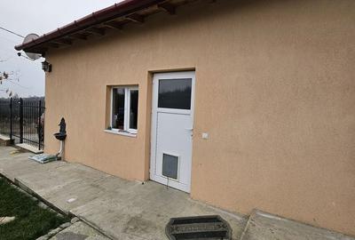 Casă cu 2 camere în Podgoria - 12