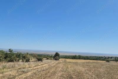 Teren în Grebănu - 6