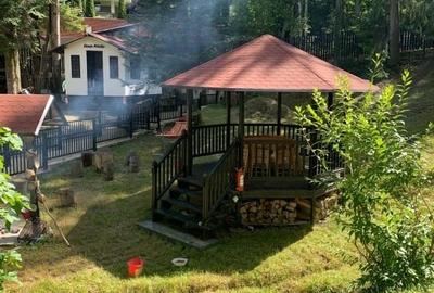Apartament in vila cu arhitectura neoromaneasca + 917mp teren in curte amenajata - 11