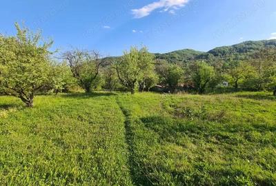 Teren intravilan de vanzare - 5