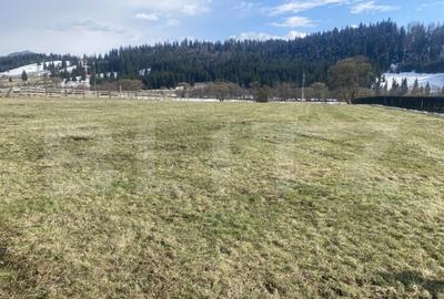 Teren intravilan de vanzare, 12.500 mp, zona Vatra Dornei, P - 3