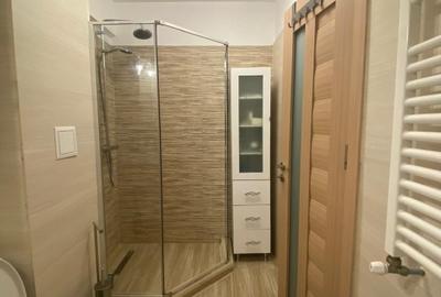 Apartament cu 2 camere decomandat, mobilat în Theodor Pallady - 8