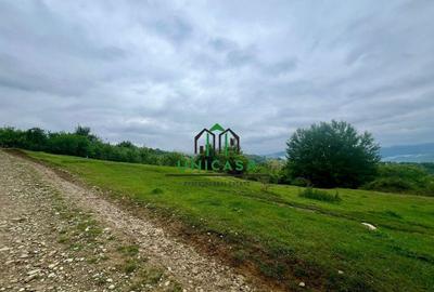 Teren 3507 mp/ Seaca/Calimanesti - 4