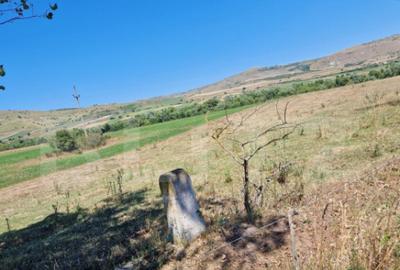 Teren extravilan 5008 mp, in Iara - 4