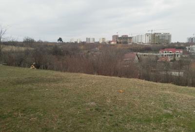 Spațiu comercial, în Copou - 5