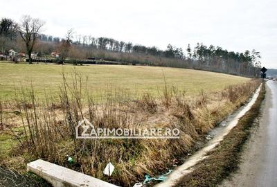 Teren Construcții intravilan de 1200 mp, în Budiului