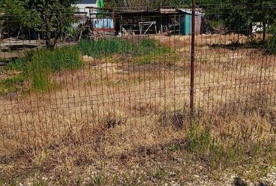 Casă cu Teren 1100 Mp în Ștorobăneasa - 2