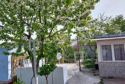 Casă cu 5 camere în Central - 7