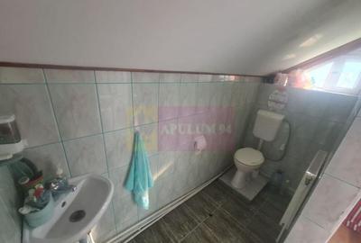 Vila de vanzare cu 5 camere in Busteni - 15