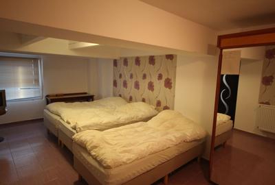 Vila  destinatie camin batrani - 36