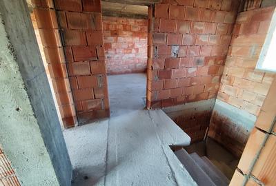 Casa individuala  P+1 visani - Hlincea  COD 157716 - 8