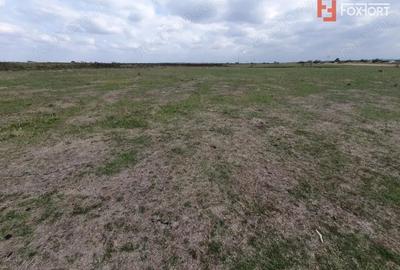 Teren de 1255 mp, în Giroc