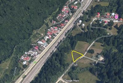 Teren de 745 mp, în Central