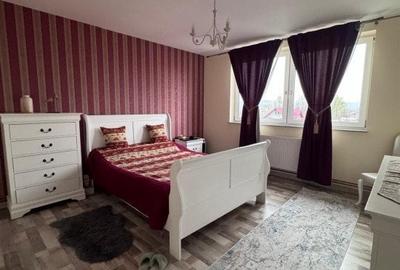 Oportunitate!! Casa individuala, afacere la cheie, Satu Mare - 5