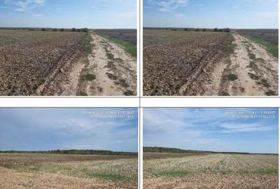 Teren extgravilan agricol Uliesti, ID: R2263433 - 4