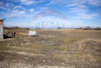 Teren 6400 mp, Drumul cu Plopi, Sanpetru - 3