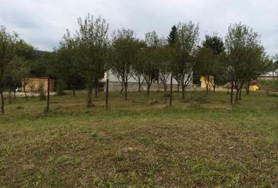 Teren Construcții intravilan de 2200 mp, în Valea Lungă-Cricov