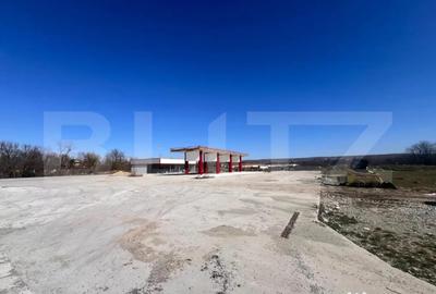 Teren de 12500 mp, în Ișalnița - 1