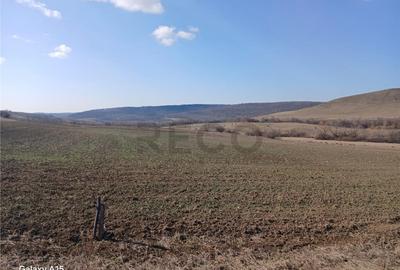 Teren de 3900 mp, în Mierlău - 3