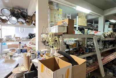 MIRCEA CEL BATRAN - CASA INDIVIDUALA + TEREN GENEROS - SAD - INVESTITIE UNICA - 17