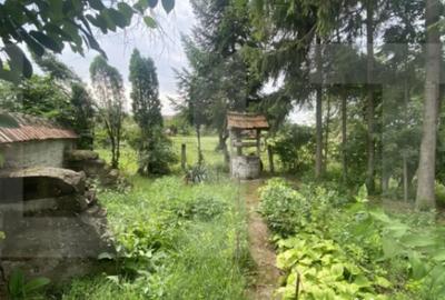 Casă cu 3 camere cu Teren 2100 Mp în Central - 9